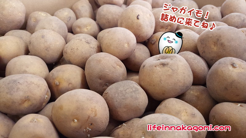 イベント前日の準備